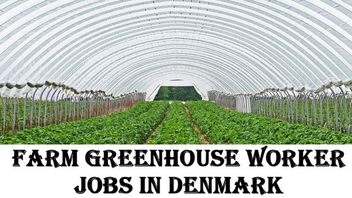 Farm Greenhouse Worker Jobs in Denmark